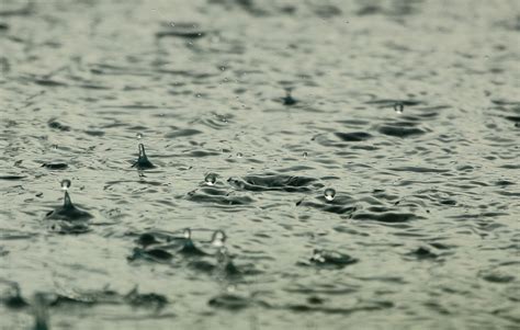 下雨天图片|70000 多张免费的“下雨”和“雨”照片